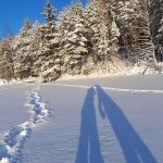 Sivistys on vastaus rasismiin